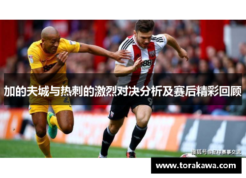 加的夫城与热刺的激烈对决分析及赛后精彩回顾