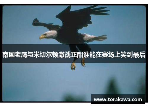南国老鹰与米切尔顿激战正酣谁能在赛场上笑到最后