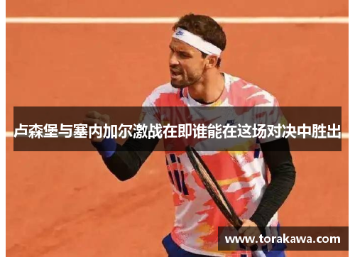 卢森堡与塞内加尔激战在即谁能在这场对决中胜出